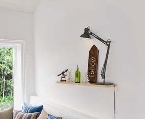 Polc, sonoma tölgy, FEDOR