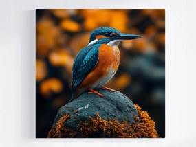 Vászonkép Canvas Természet Állat- És Állatvilág Madár Téli Makró 40x40