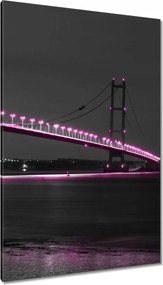 Vászonkép 80x120 Lila világítás