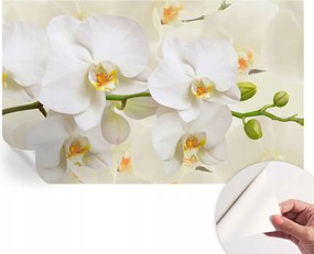 Design fali fotótapéta öntapadós virágos gazdagság 416x254 cm