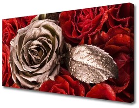 Vászonkép rózsa virágok 125x50 cm