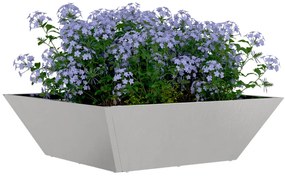 Fém Növényágy Rozsdamentes acél 50 x 50 x 15 cm Dekoratív Betétek
