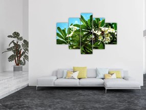 Kép - Plumeria (150x105 cm)