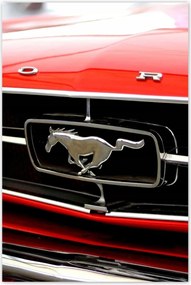 Poszterek 80x120 Grill Ford Mustang