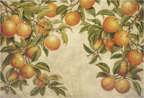 Fali fotótapéta Étkezőbe Gyümölcsös ágak 152x104 Ragasztó