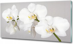 Fotó kép edzett üveg Fa rönkök 100x70