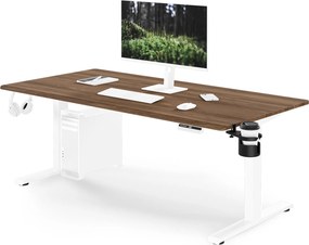 Elektromos, állítható magasságú, ergonomikus, fehér/dió íróasztal,1600x800 mm: ARIA