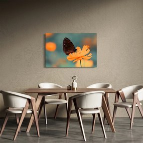 Kép - pillangó narancssárga virágon (90x60 cm)