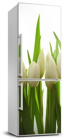 Matrica hűtőre Tulipán FridgeStick-70x190-f-40774671