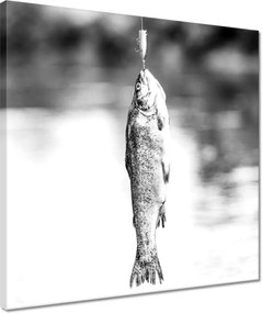 Vászonkép 40x40 Pisztráng a horgon hal