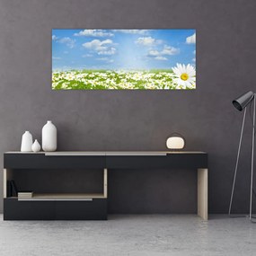 A virágzó rét százszorszépekkel képe (120x50 cm)