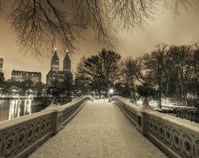 Poszter 76x60,5cm Central Park Bow Bridge Manhattan panorámával, Assaf Frank