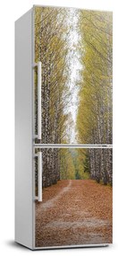 Hűtő matrica Nyírfa erdő FridgeStick-70x190-f-111097387