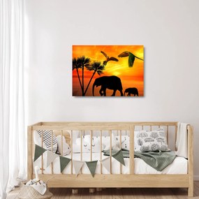 Kép - papagájok és elefántok (üvegen) (70x50 cm)