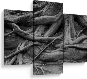 Kép - A fa gyökerei (90x60 cm)