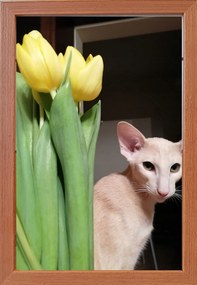 Fotókeret felállítható és felakasztható 15x23 fa 1,5 cm barna szín