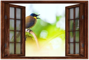 Poszterek 90x60 Madarak