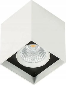 Falra szerelhető lámpatest nappaliba Alden Italux Led fehér