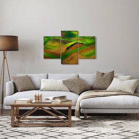 Kép - Mezők, rétek (90x60 cm)