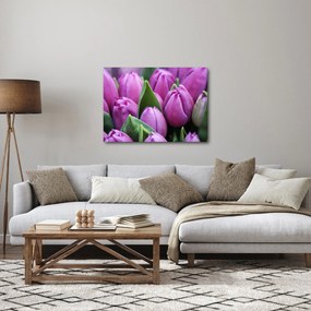 Kép - tulipánok (70x50 cm)