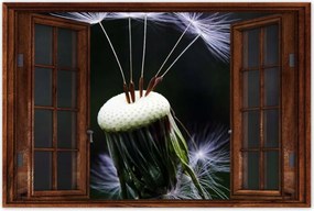 Poszterek 60x40 Pitypang Virág Virágok