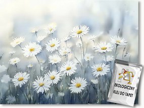 Fotótapéta Flizelina Margaréták Fehér Virágok Rét Tavasz 254x184 ragasztó