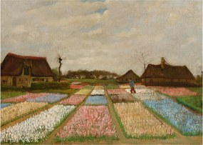 Kép - Vincent van Gogh, Flower Beds in Holland, reprodukciók (70x50 cm)