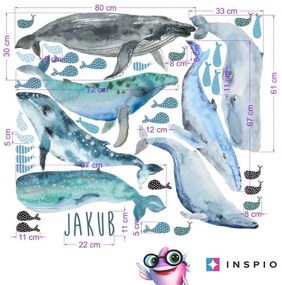 INSPIO Falmatricák a tenger élővilágáról