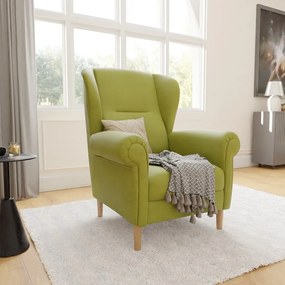 Zöld füles fotel Swan – Ropez