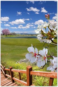 Poszterek 80x120 LĂ©pcsĆn lefelĂ©