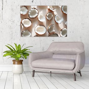 Kép - Kókuszdiók (90x60 cm)