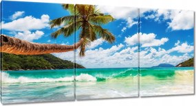 Vászonkép 180x90 Paradicsomi tengerpart pálmafákkal