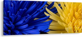 Kép - virág részlet (120x50 cm)