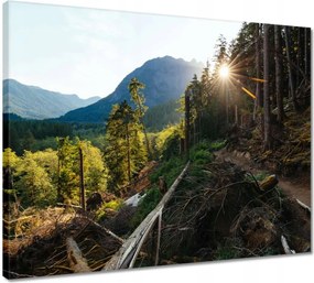Vászonkép 50x40 Hegyek Napfény Erdő Ösvény