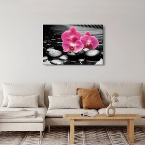 Kép - Rózsaszín orchideák (90x60 cm)