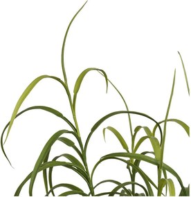 Műnövény (magasság 89 cm) Grass – House Nordic