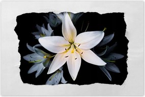 Poszterek 120x80 Fehér liliom csokor Virág