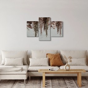 Kép - Növények (90x60 cm)