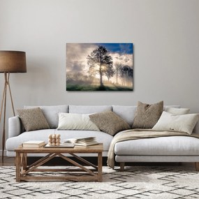 Fa a ködben képe (70x50 cm)