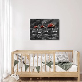 Üveg kép - Napraforgó, fekete-fehér (70x50 cm)
