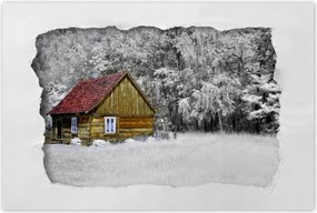 Poszterek 60x40 Fa ház Bale