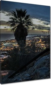Vászonkép 70x100 Tájkép pálmafákkal