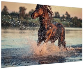 Kép - Futó ló (90x60 cm)