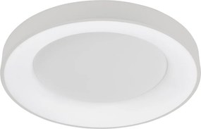 Italux Modern Mennyezeti lámpa Giulia Fehér ITX5304-850RC-WH-4