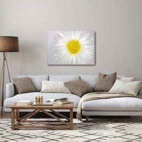 Kép - Margarita (70x50 cm)