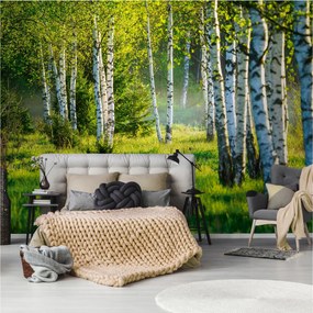Fotótapéta Nyírfa Erdő 3D Fák Természet 400x280