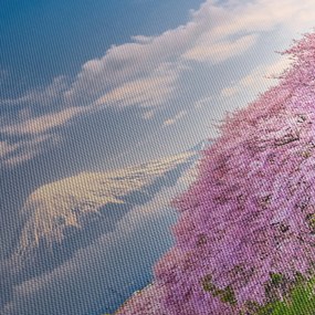 Kép - Japán tavaszi táj (70x50 cm)