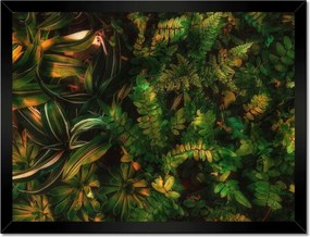 Poszterek keretben 40x30 Trópusi levelek Levelek