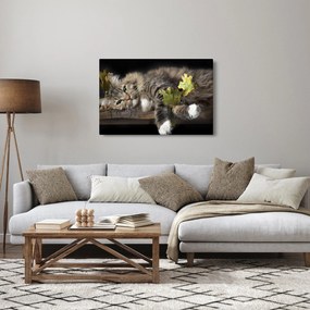 Kép - Hazudós macska (90x60 cm)