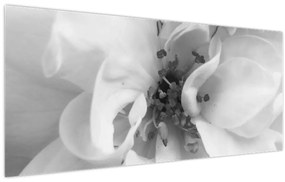 Kép - Virág, fekete-fehér (120x50 cm)